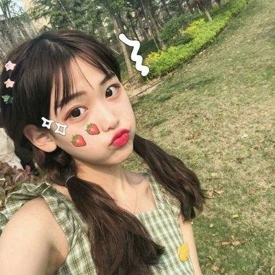 挚爱极地